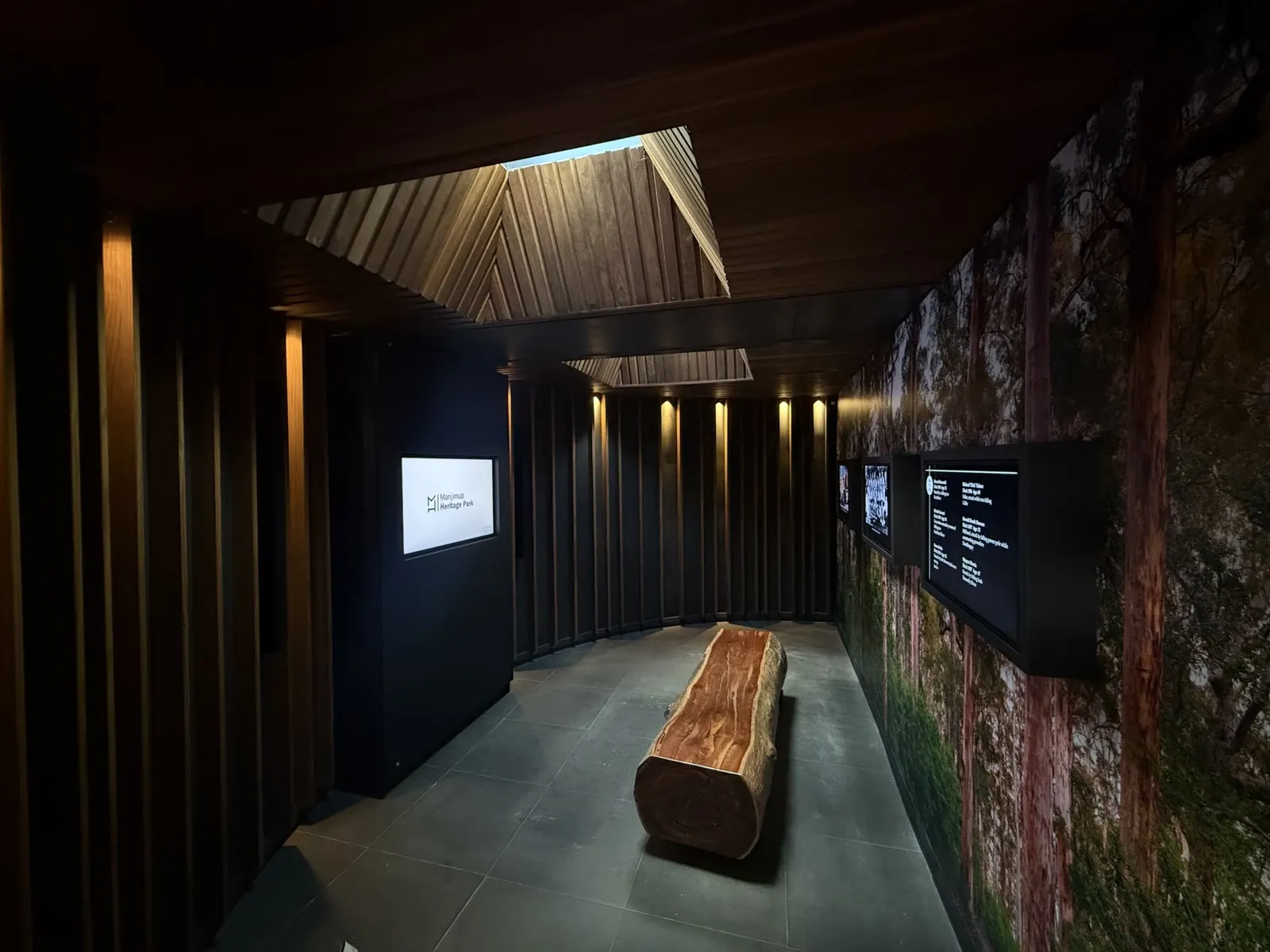 A timber-battened gallery inside the State Timber Museum — angled ceiling baffles under a skylight, displays along a forest-mural wall and a jarrah log bench