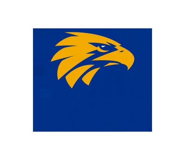 The solution — Scoreboard for the West Coast Eagles