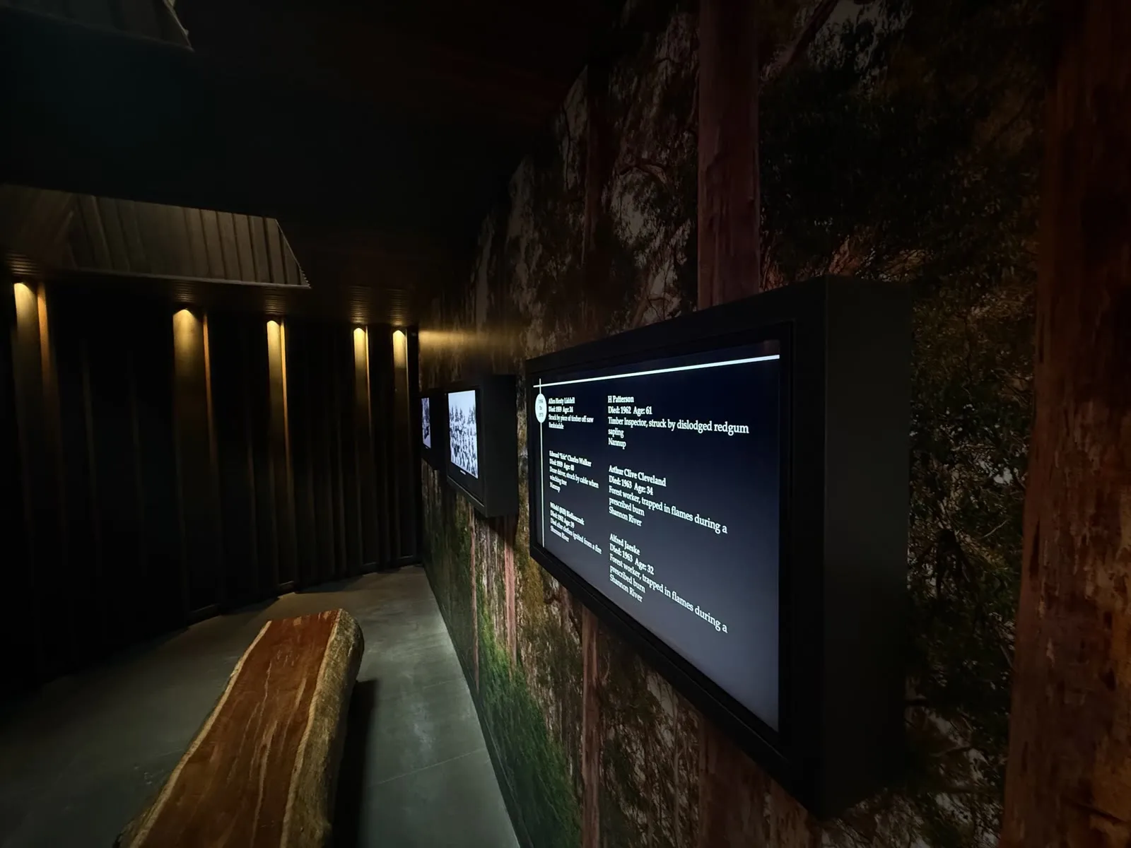 Memorial interpretation screens set into a forest mural wall at the State Timber Museum, with a raw timber bench in the darkened gallery